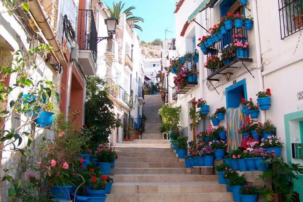 Espacioso Y Centrico Piso Con Zona Chill-Out Alicante Eksteriør billede